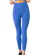 Load image into Gallery viewer, Mesh Seamless Legging with Ribbing Detail - Blue
